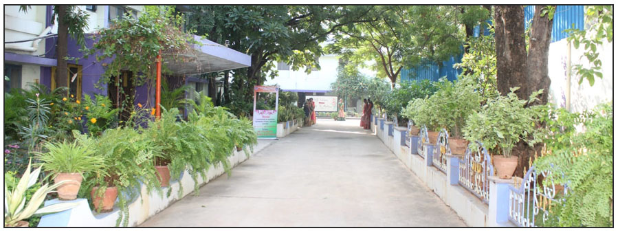 pic-2